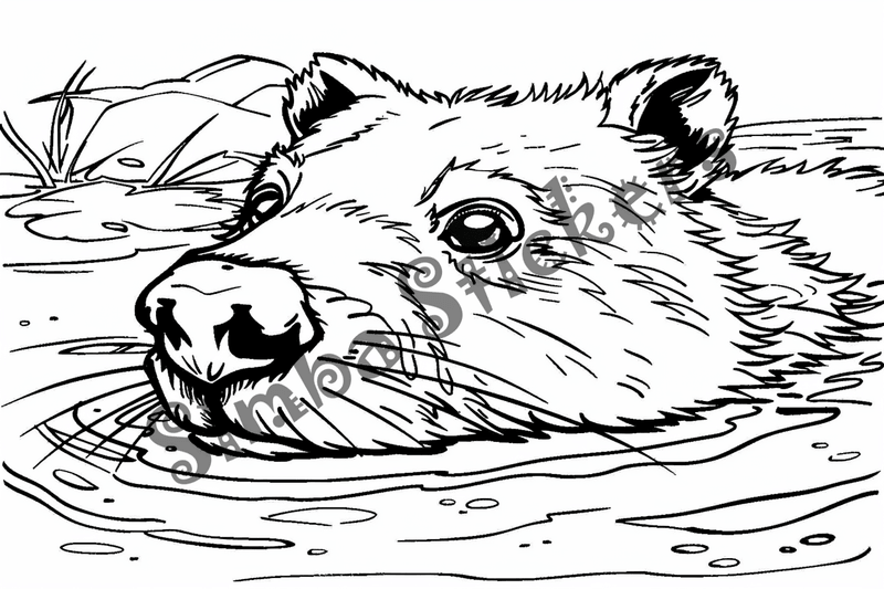 Colouring pages, bundle of beavers in water, 10 images