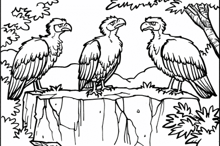 Colouring pages, bundle of vultures, 50 images, kqxcna