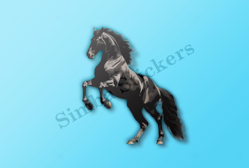 Black horse rearing
