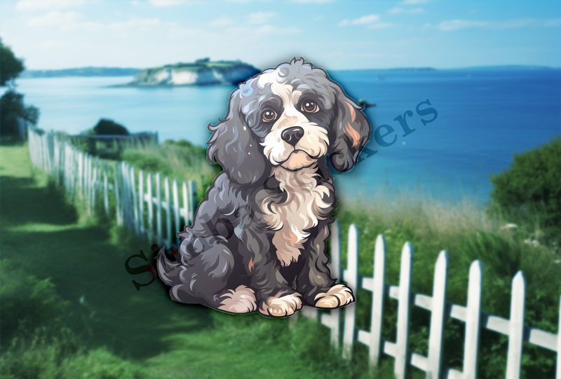 Black and white Cookapoo dog looking sad