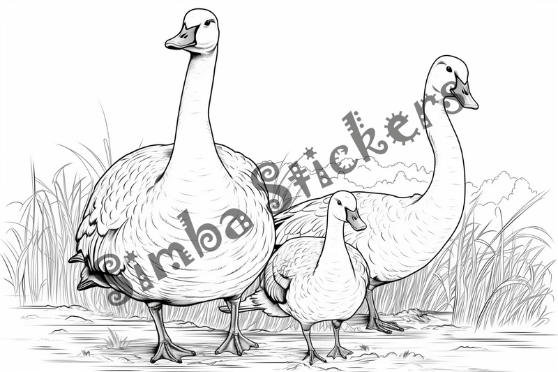 Colouring pages, bundle of geese, 25 images