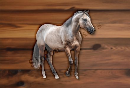 Brown horse , partial side view