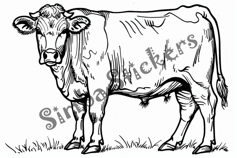 Colouring pages, bundle of cattle, 25 images 2