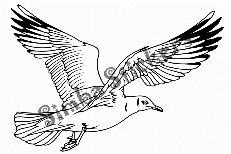 Colouring pages, bundle of seagulls, 50 images