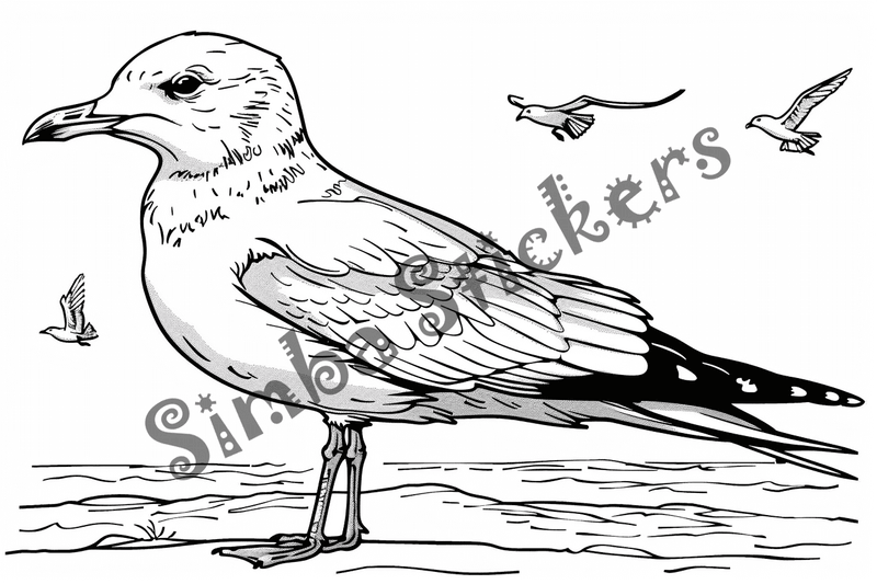 Colouring pages, bundle of seagulls, 50 images