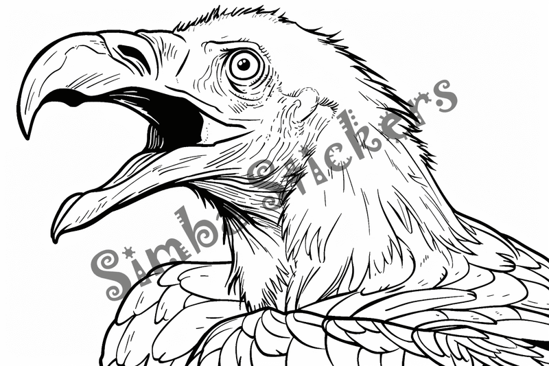 Colouring pages, bundle of vultures 2, 25 images, nffnc2
