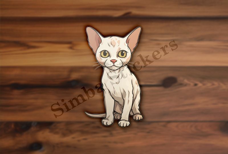 Devon Rex cat sitting