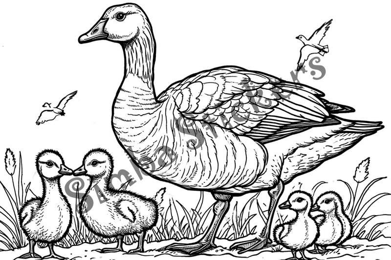 Colouring pages, bundle of geese with goslings, 10 images
