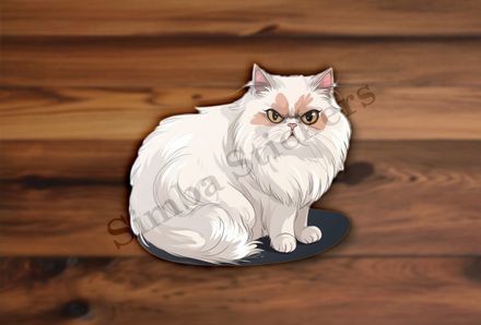 White Persian cat 