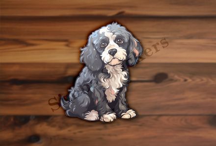 Black and white Cookapoo dog looking sad