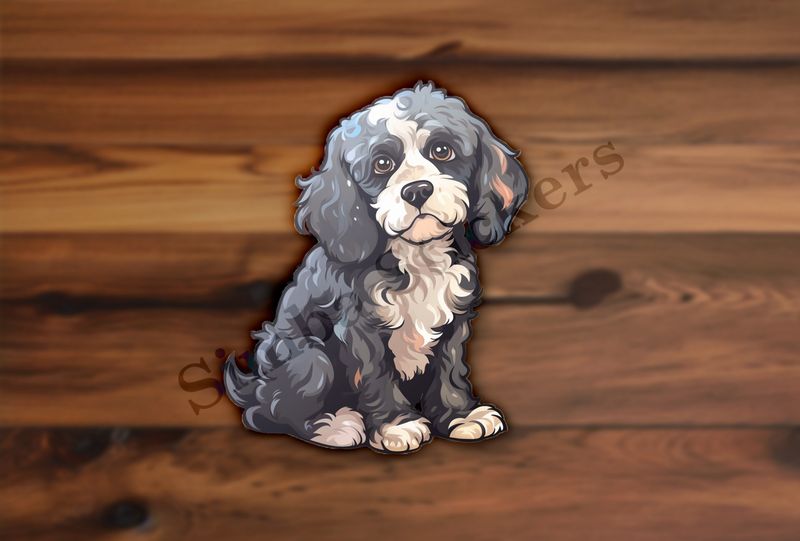 Black and white Cookapoo dog looking sad
