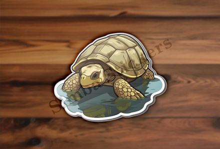 Tortoise in shallow water