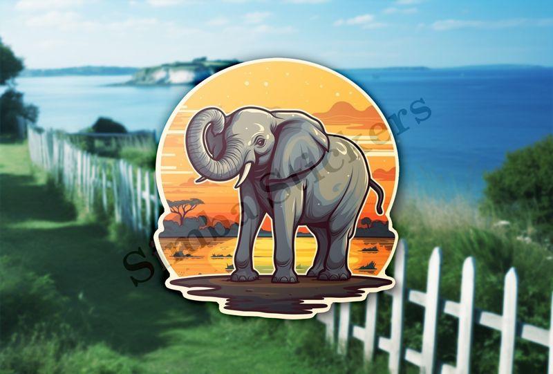 African elephant in the Savanna at sunset