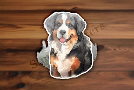 Bernase Mountain dog, watercolour