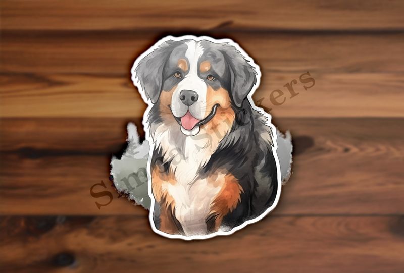 Bernase Mountain dog, watercolour