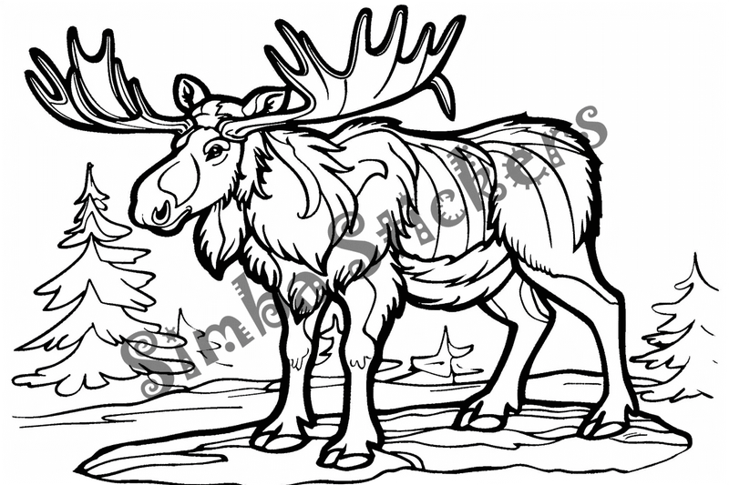Colouring pages, Bundle of moose, 50 images