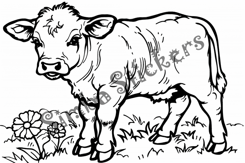 Colouring pages, bundle of cattle calves, 10 images