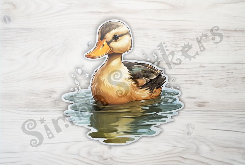 Duckling in a pond