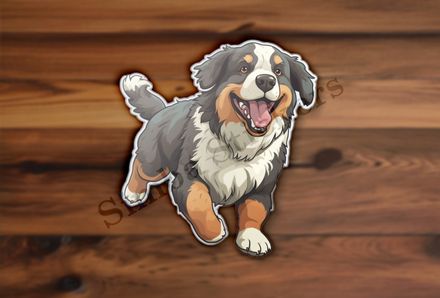 Bernase Mountain dog running