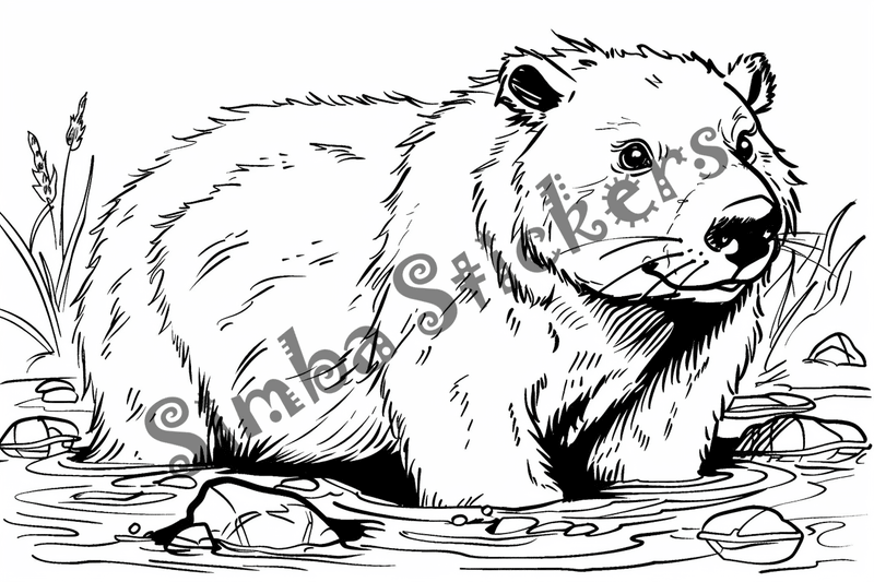 Colouring pages, bundle of beavers, 10 images