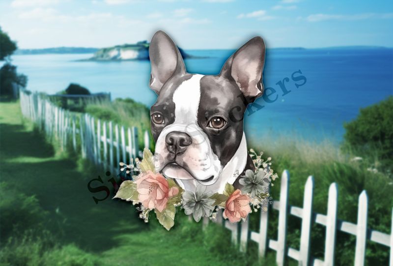 Boston Terrier dog face with flower collar, watercolour