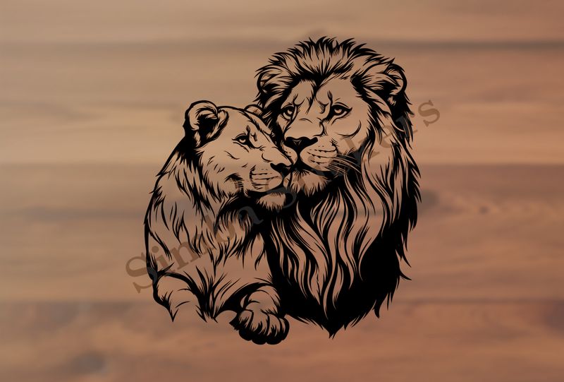 Affectionate lioness leaning into lion, cuddling, outline art