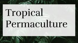 Tropical Permaculture Course 599 Lifetime