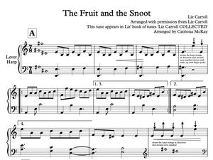 The Fruit and the Snoot - Liz Carroll, arr. C McKay HARP SOLO