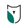 TAG Financial Services