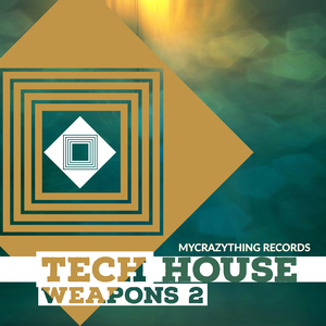 Tech House Weapons 2