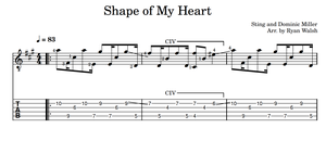 Shape of My Heart (Guitar Intro) - Sting and Dominic Miller