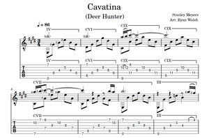 Cavatina | The Deer Hunter Theme | Stanley Myers