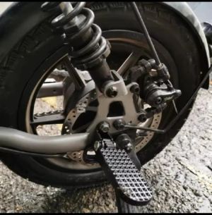 Passenger pegs