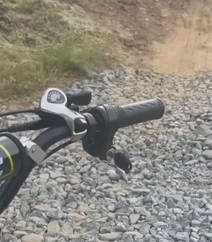 plug n play normal throttle (very small delay)
