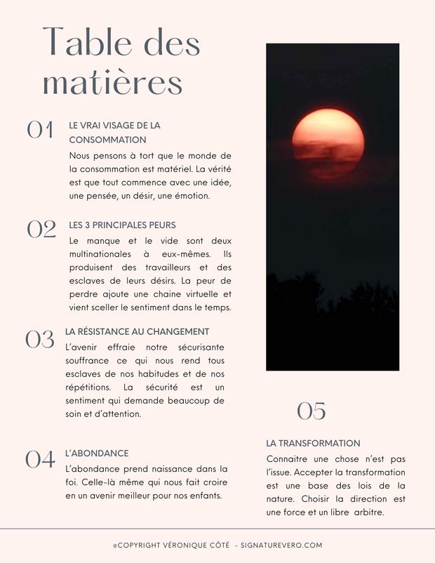 L emprise émotionnelle de la consommation