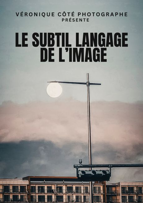 Le subtil langage de l&#x27;image