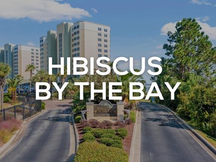 Hibiscus By The Bay
