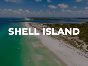Shell Island