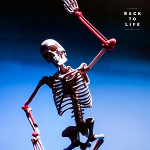 Back To Life (RC-20 Presets Vol. 1)
