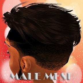 MALE HAIR MESH