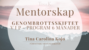 GENOMBROTTSKIFTET – Mentorskap 6 månader med Tina K.