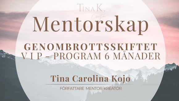 GENOMBROTTSKIFTET – Mentorskap 6 månader med Tina K.