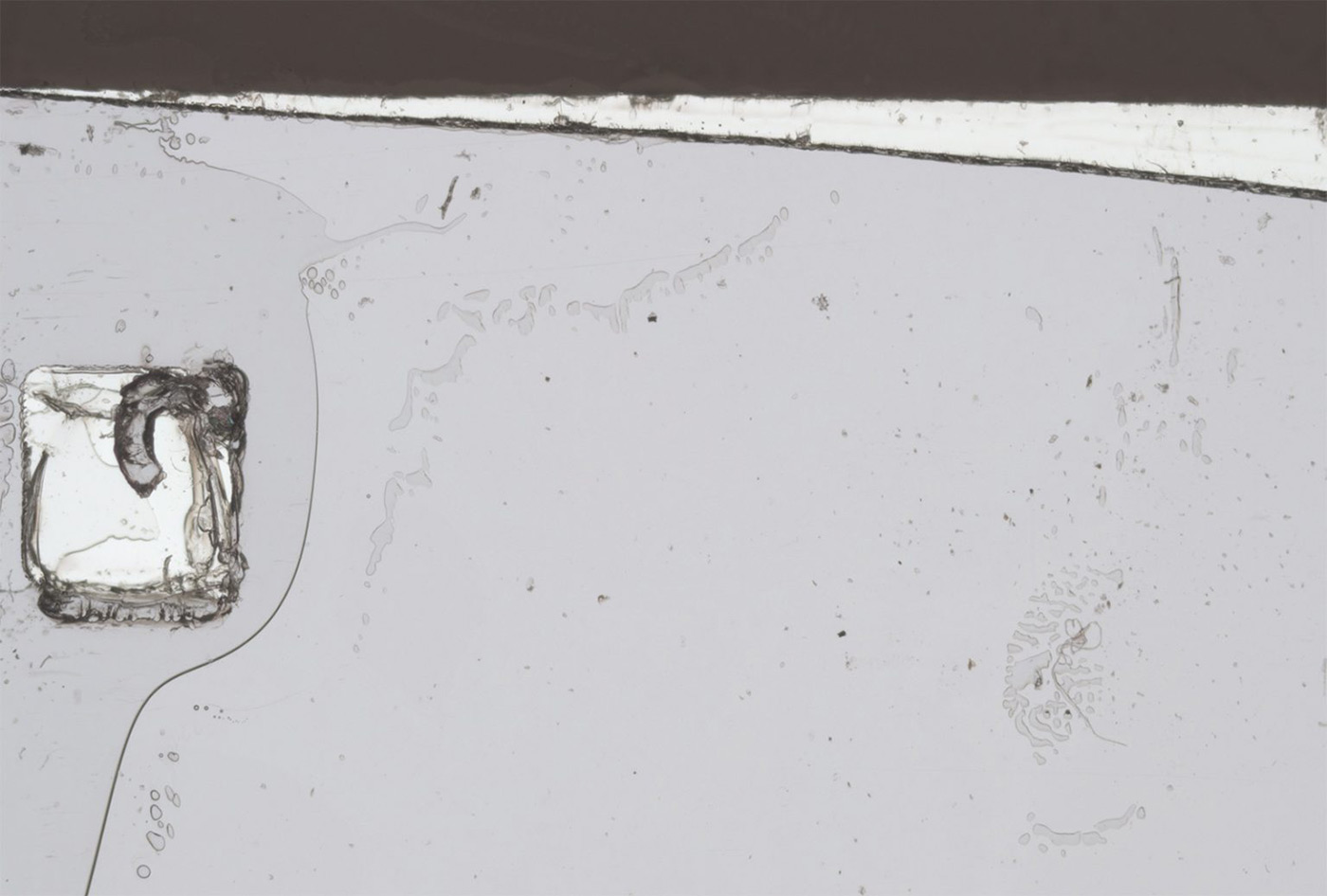 FILM GRAIN OVERLAYS, EFFECTS, 8MM, 16MM, 4K