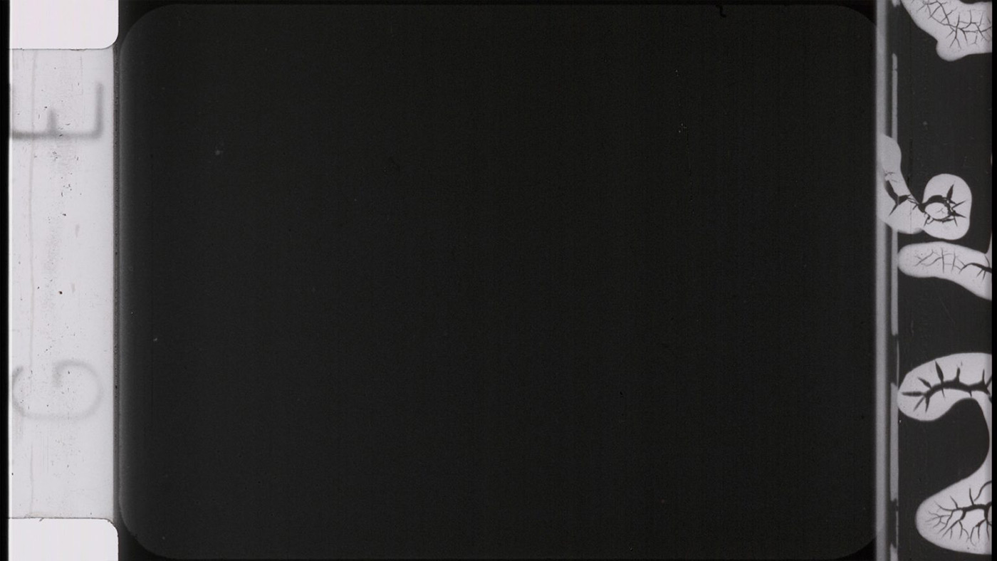 FILM OVERLAYS, EFFECTS & TEXTURES