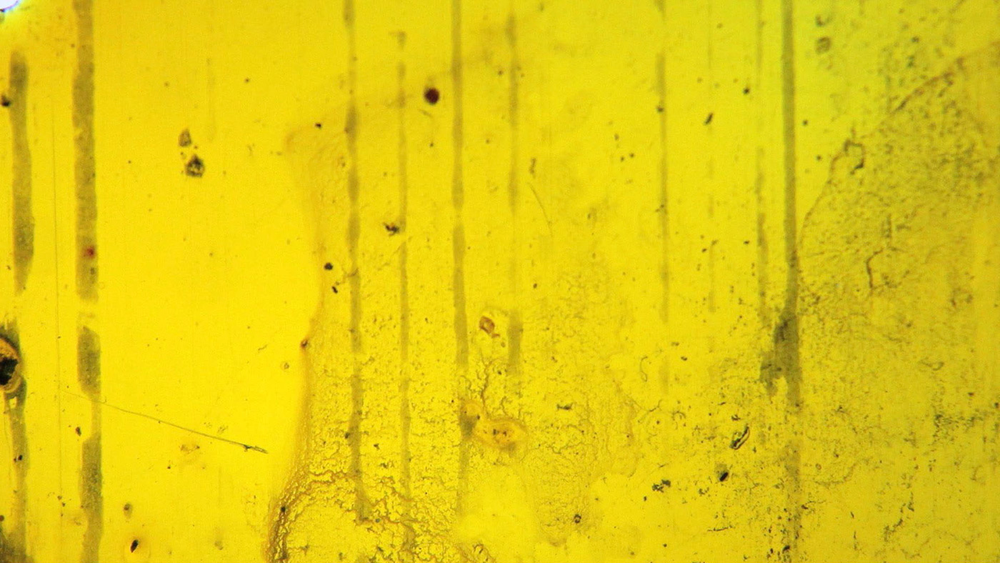 film effects and textures 16mm