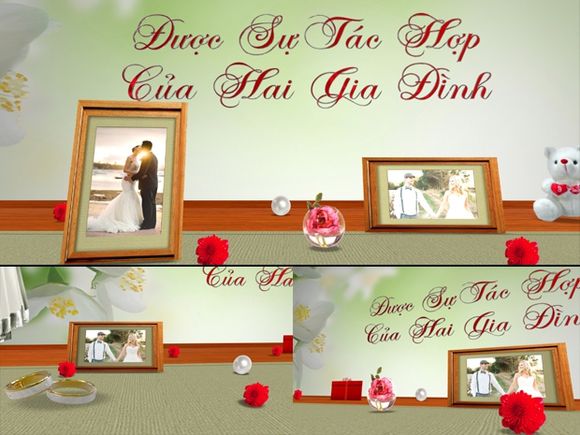 Blufftitler Template  Wedding Style 60