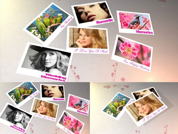 Blufftitler Template  Wedding Style 55