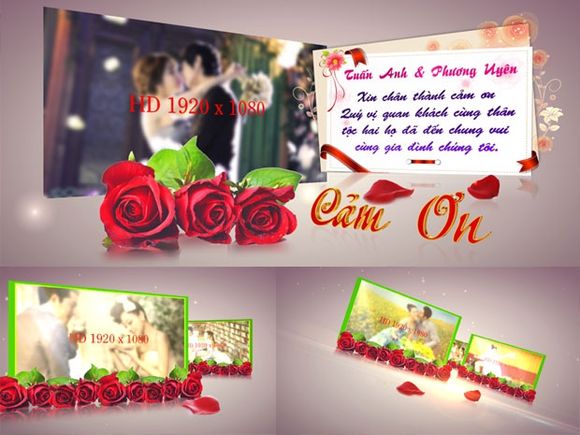 Blufftitler Template  Wedding Style 28