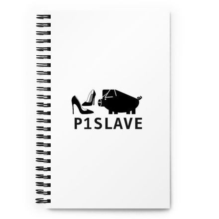 P1SLAVE Notebook