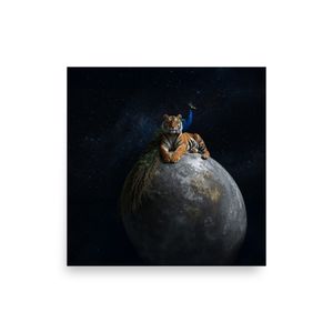 The Tiger and the Peacock Print | Matte Paper Poster 12" x 12" | Nooboo